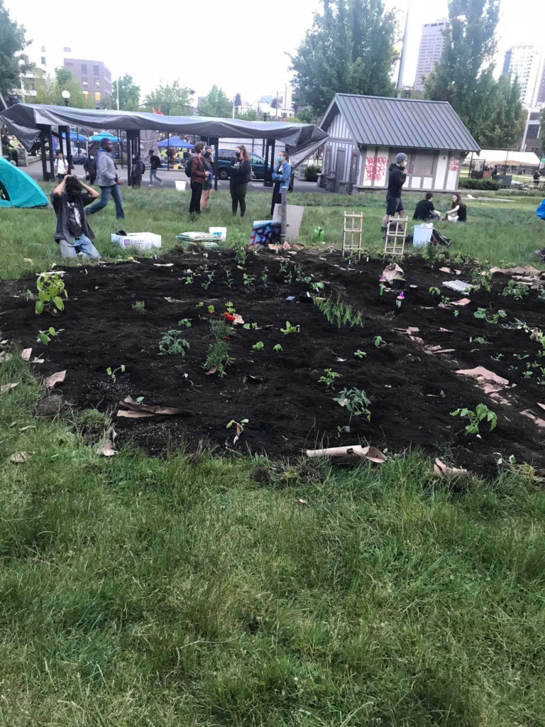 Gardening in CHAZ