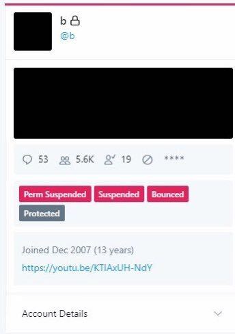 twitter admin panel showing user @b with perm suspended in description